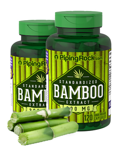 Bamboo