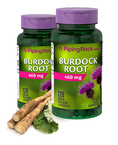 Burdock Root