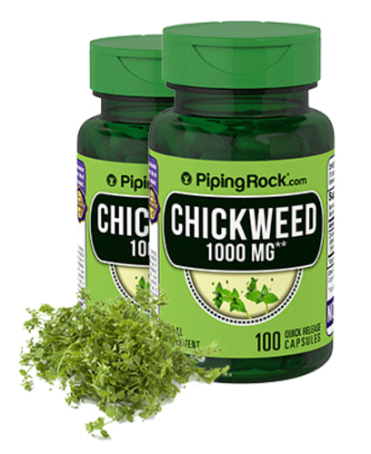 Chickweed