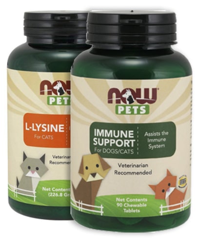 Immune Support