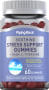 Soothing Stress Support + GABA & L-Theanine Gummies (Natural Lemon & Strawberry), 60 Gummies