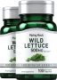 Wild Lettuce, 500 mg, 100 Quick Release Capsules, 2  Bottles