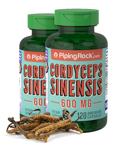 Cordyceps