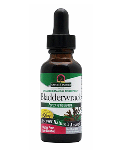 Bladderwrack
