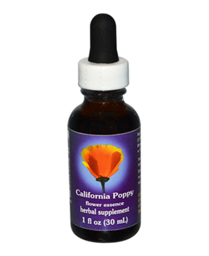 California Poppy