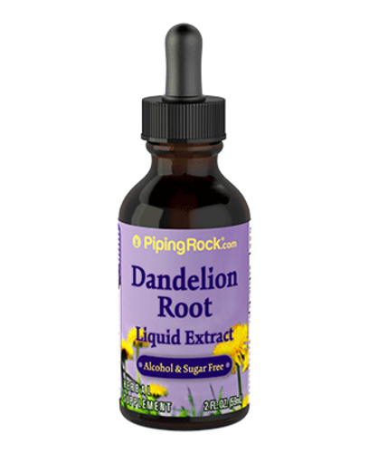 Dandelion
