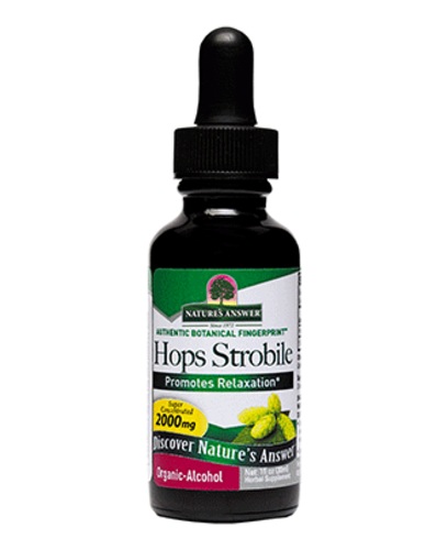 Hops Strobile