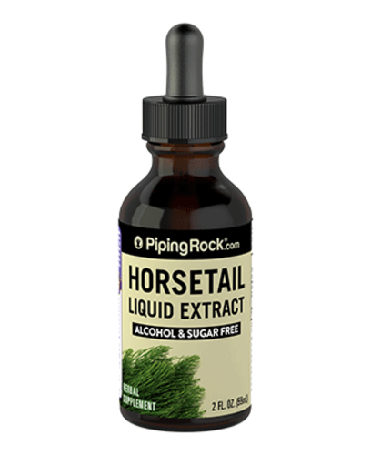 Horsetail