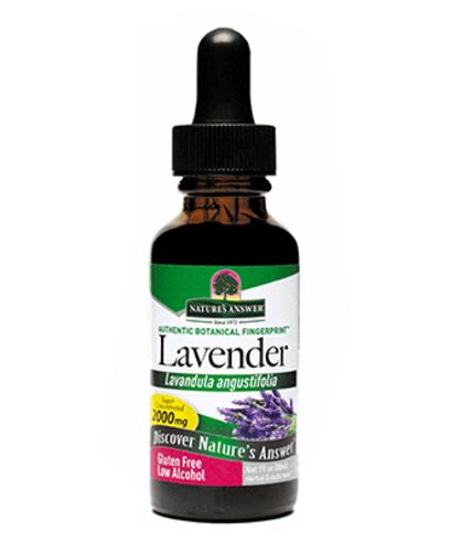 Lavender Flower