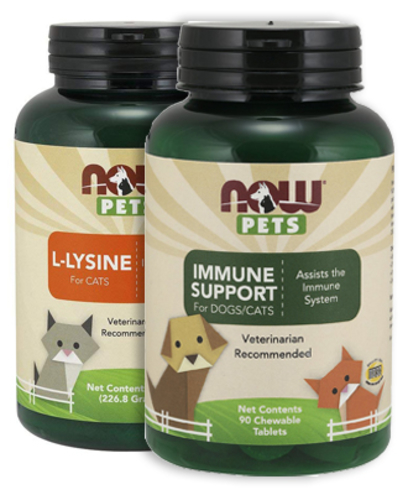 Immune Support