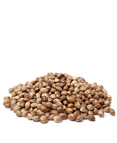 Hemp Seeds