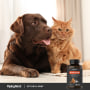 Hip & Joint for Dogs & Cats, 120 Chewable TabletsImage - 3