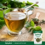 Nettle Leaf Cut & Sifted (Organic), 1 lb (454 g) BagImage - 5