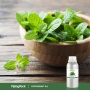 Peppermint Pure Essential Oil (GC/MS Tested), 16 fl oz (473 mL) CanisterImage - 5