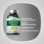 Amla Fruit (Indian Gooseberry), 1,000 mg (per serving), 120 Quick Release CapsulesImage - 1