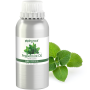Peppermint Pure Essential Oil (GC/MS Tested), 16 fl oz (473 mL) Canister