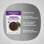 Elderberries Whole European (Organic), 1 lb (454 g) BagImage - 2